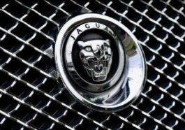 Jaguar удължават гаранцията си - jaguar 2687842 340