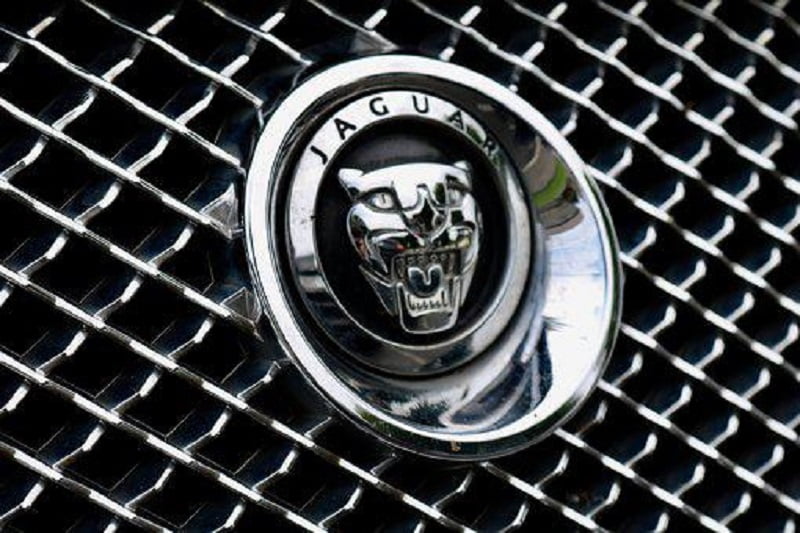 Jaguar удължават гаранцията си - jaguar 2687842 340