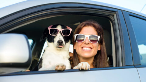 a woman and a dog in sunglasses are shown from the window of a car