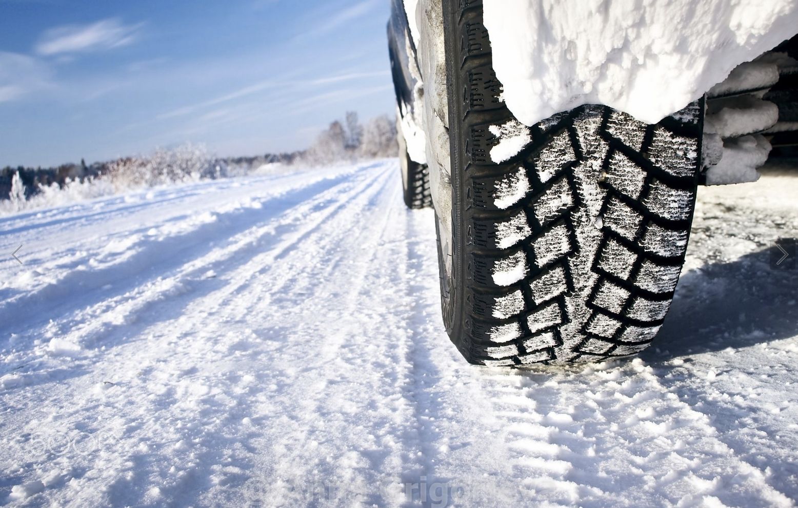 Radar Dimax Winter Sport winter tires