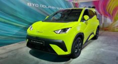 BYD Dolphin Surf