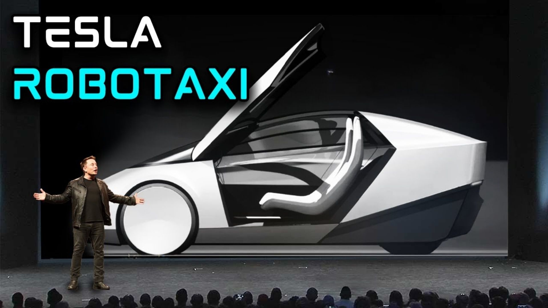 Tesla RoboTaxi