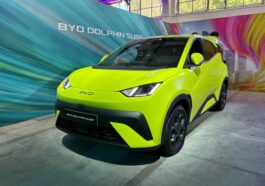 BYD Dolphin Surf