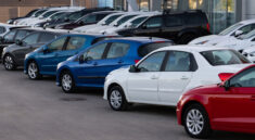 Cars in a row. Used car sales.