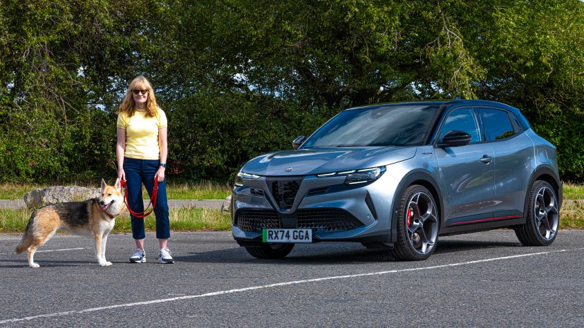 Alfa Romeo Junior