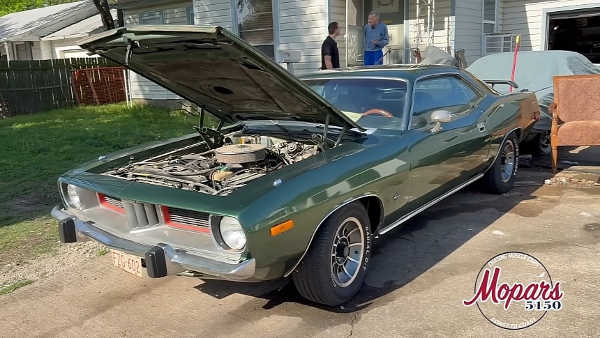Barracuda