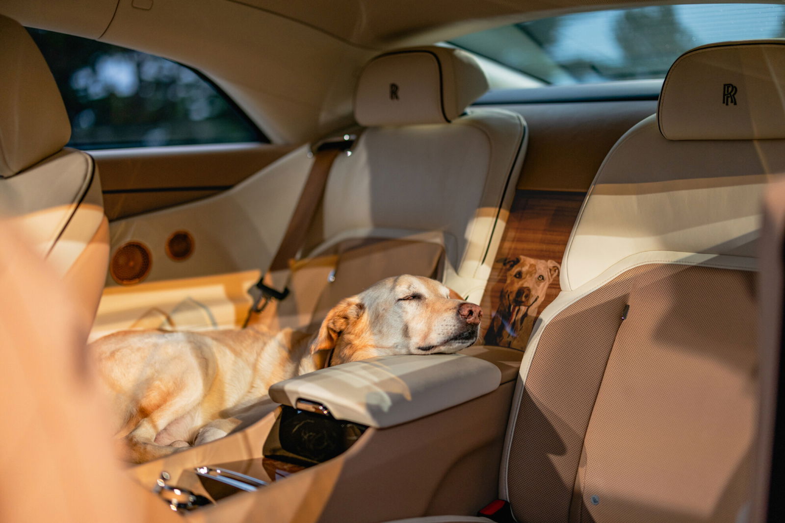 Rolls-Royce