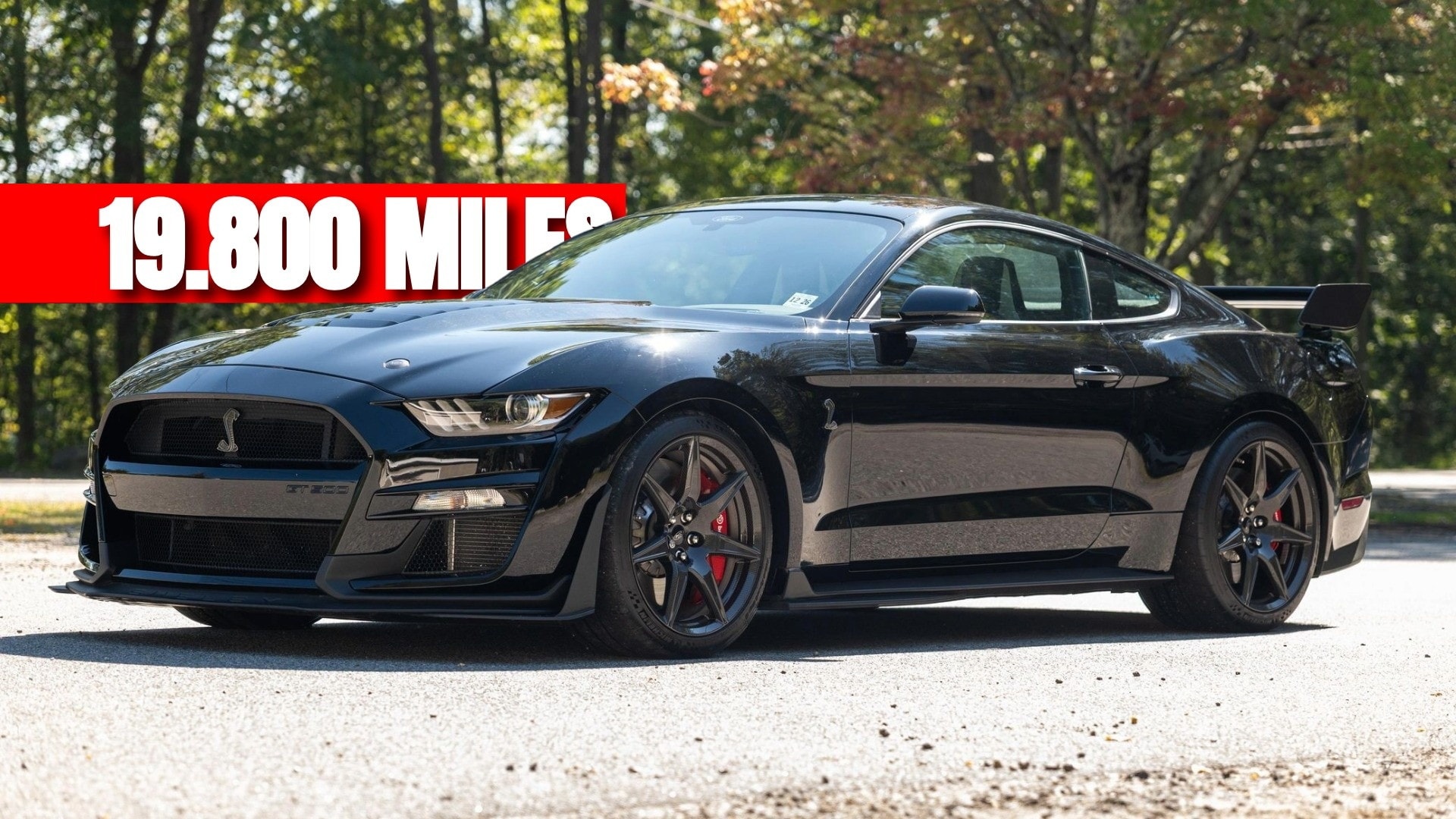 Ford Mustang Shelby GT500