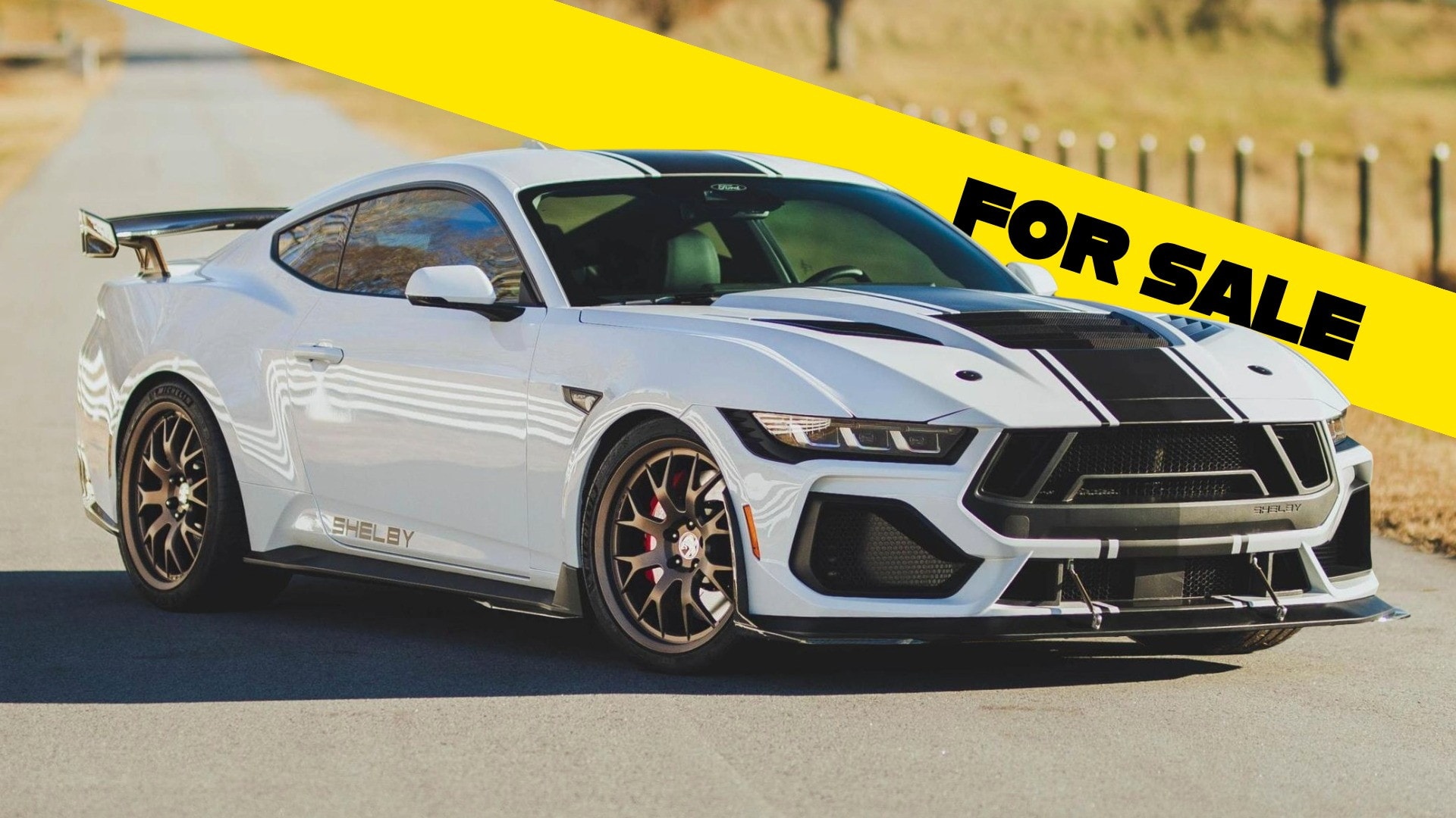 Ford Mustang Shelby Super Snake