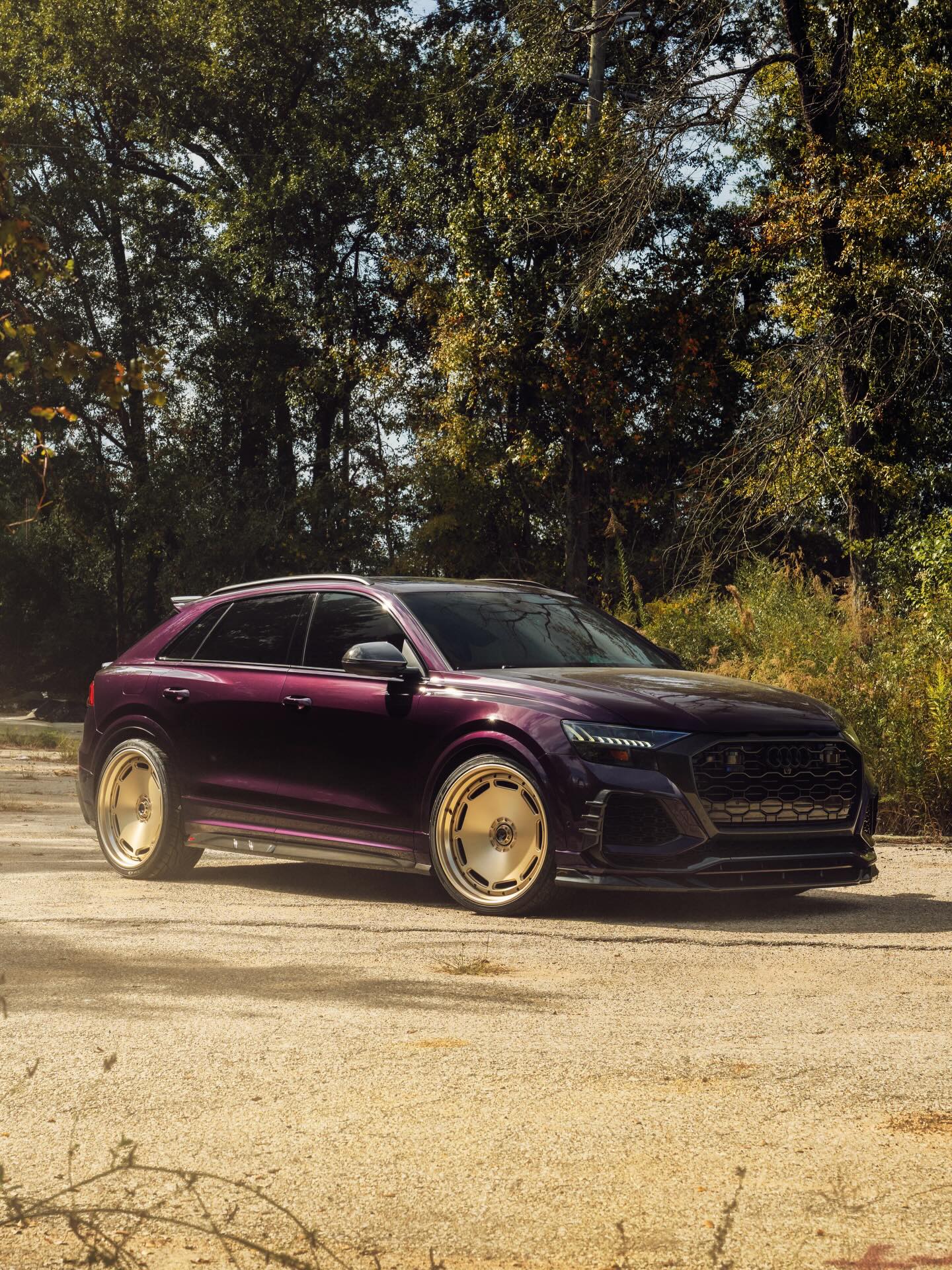Audi RS Q8