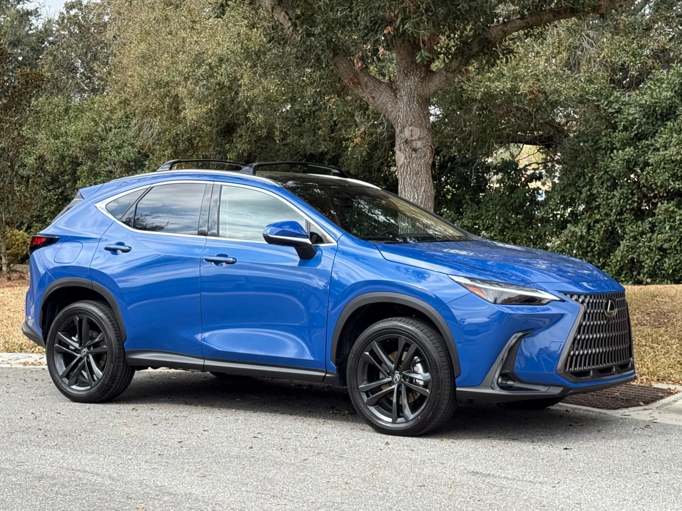 Лексус NX450h+