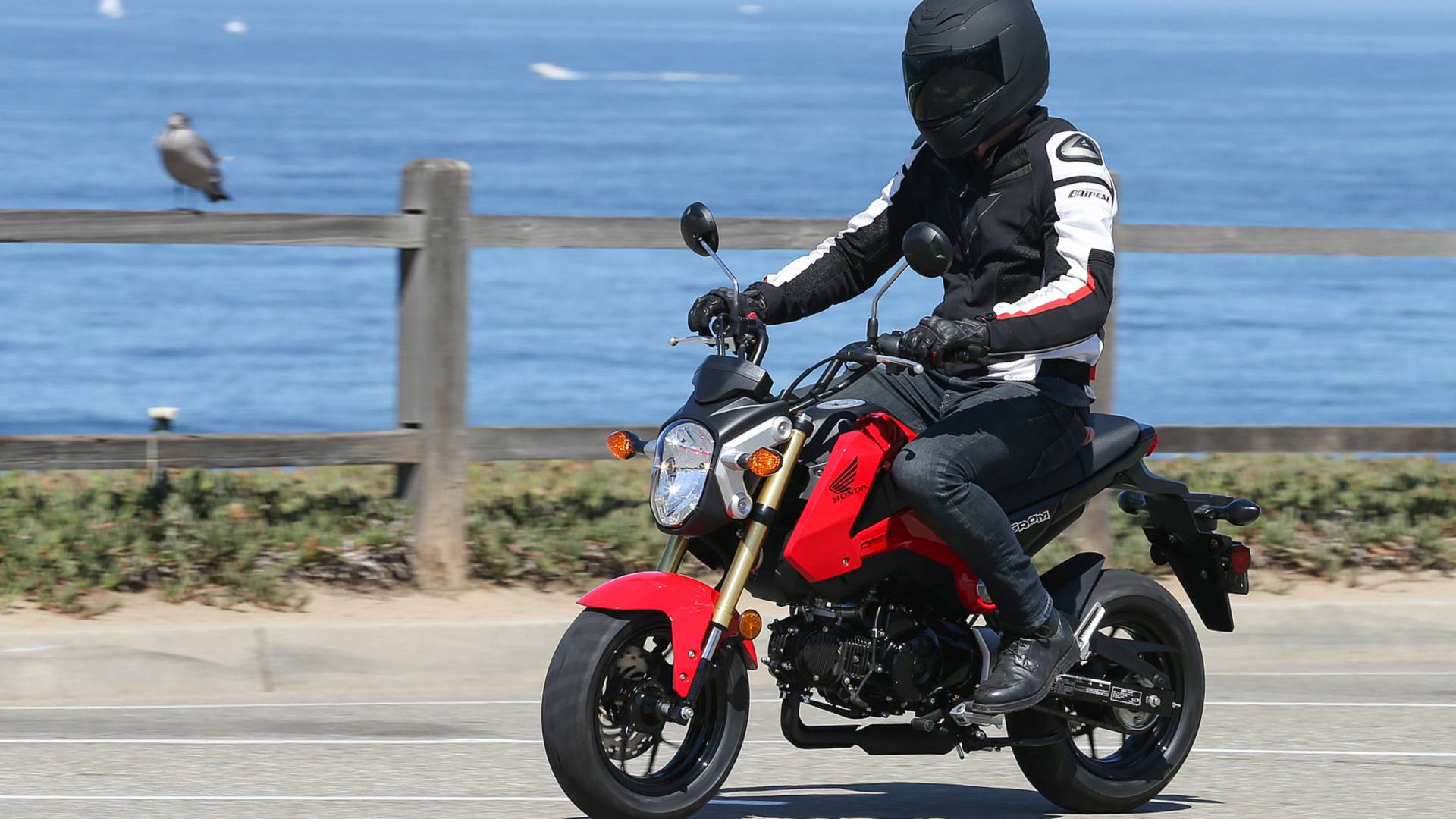 Хонда Grom 125