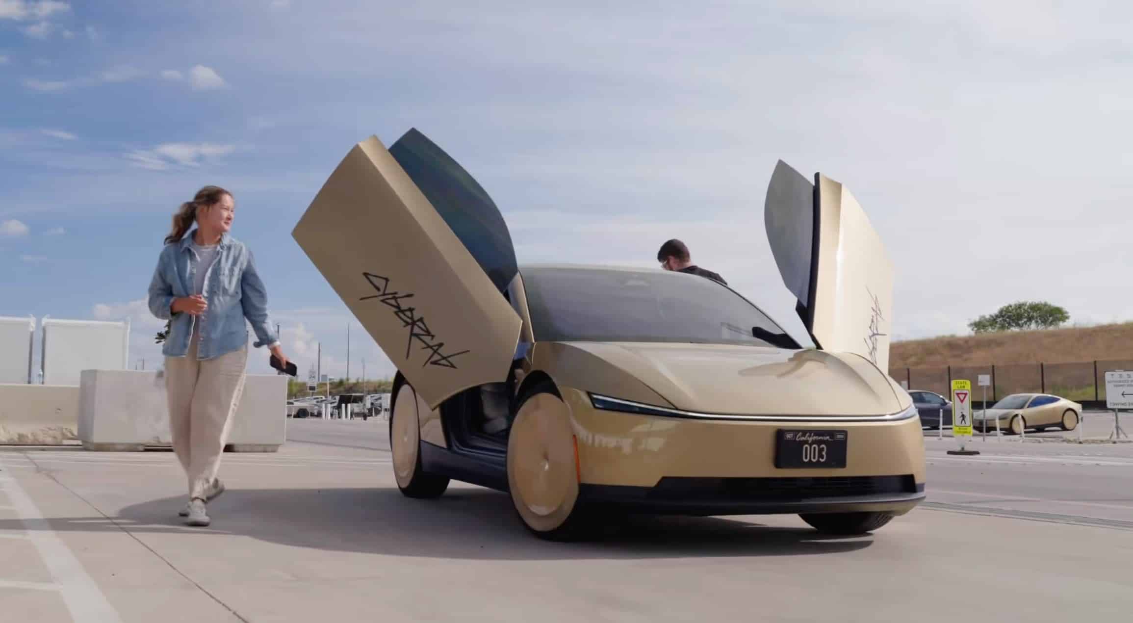 Tesla Robotaxi