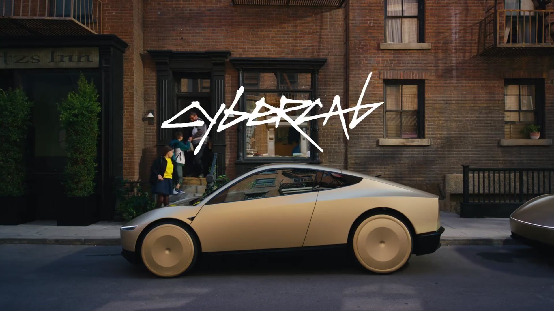 Tesla Robotaxi
