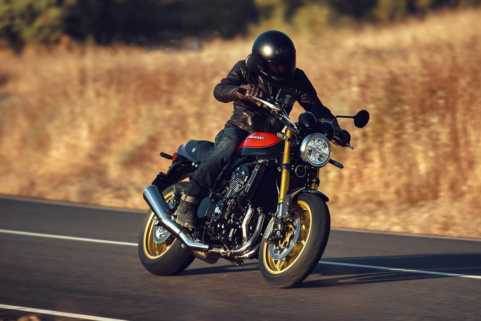 Кавасаки Z900RS SE